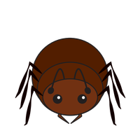 Link to animaru Ant