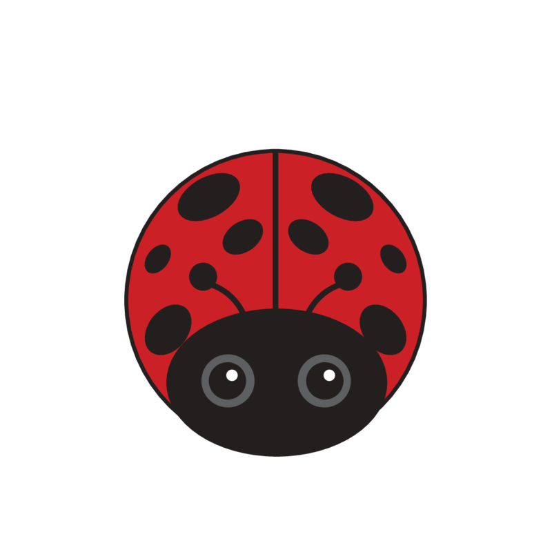 animaru Ladybird