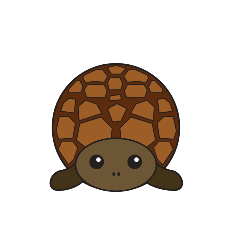 animaru Turtle